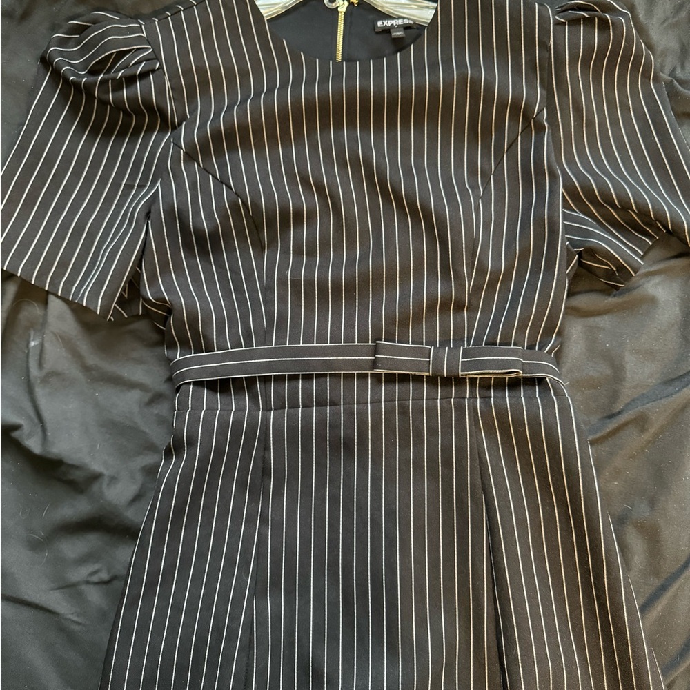 Express pinstriped zipper back dress with belt